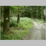 Waldeingang- Schw.JPG